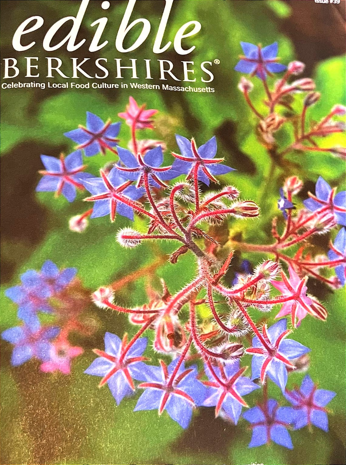 Edible Berkshires article
