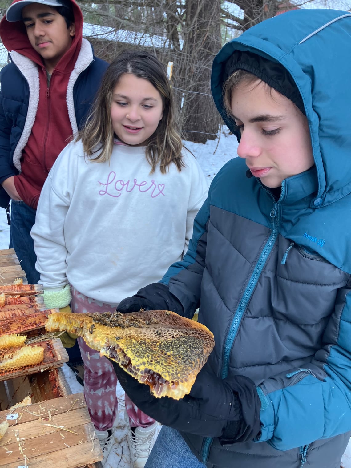 Testimonial - Montessori School of the Berkshires, Lennox MA