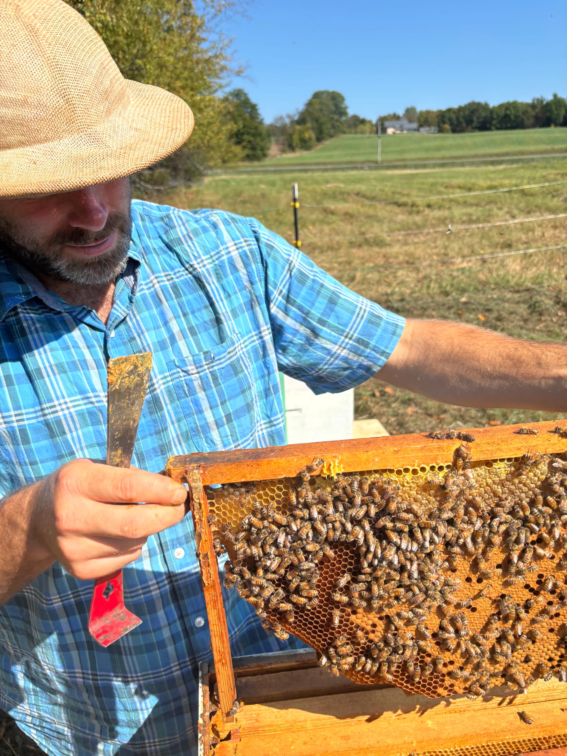 Support for Beekeepers