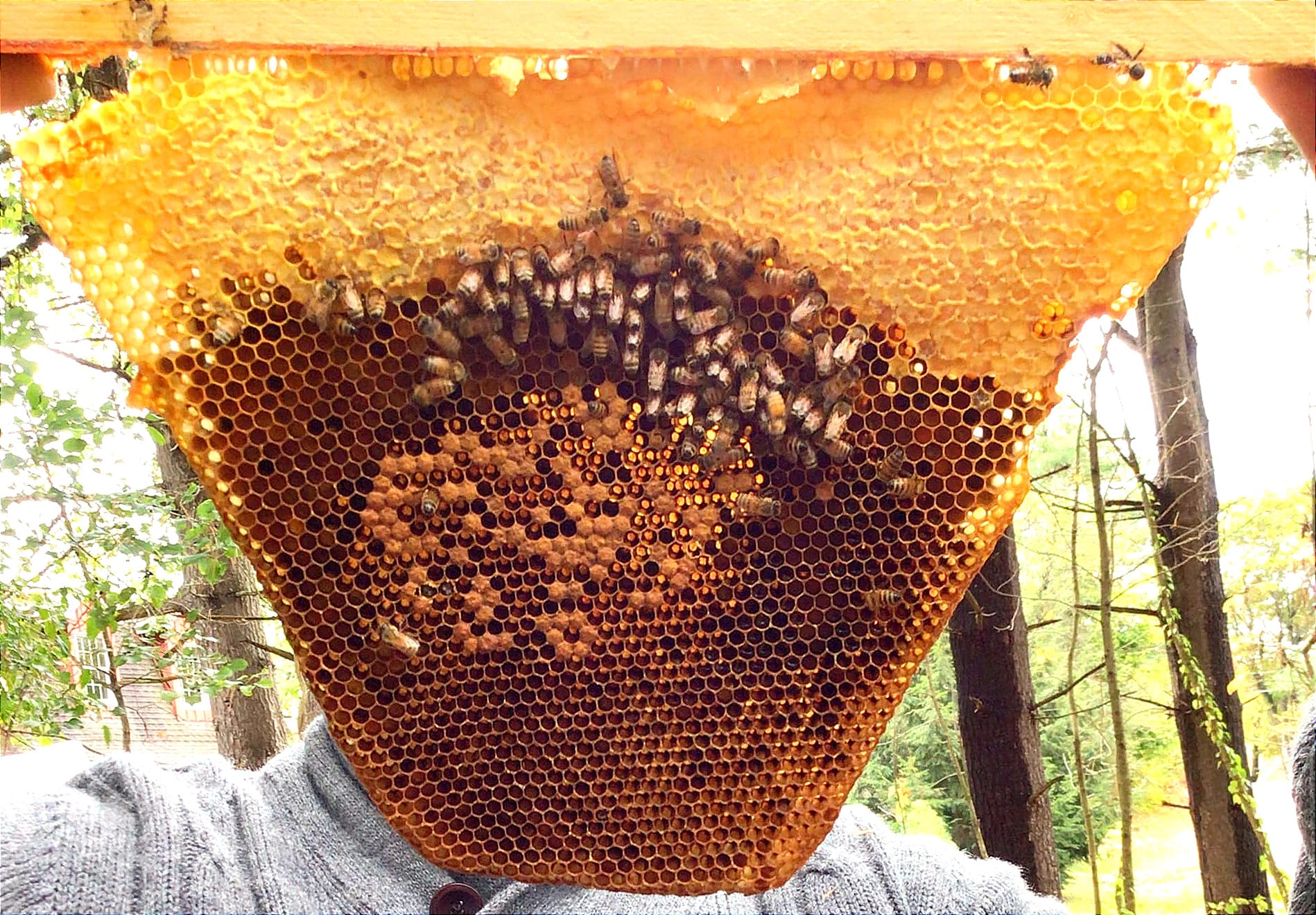 Might-o @ Montessori School of the Berkshires