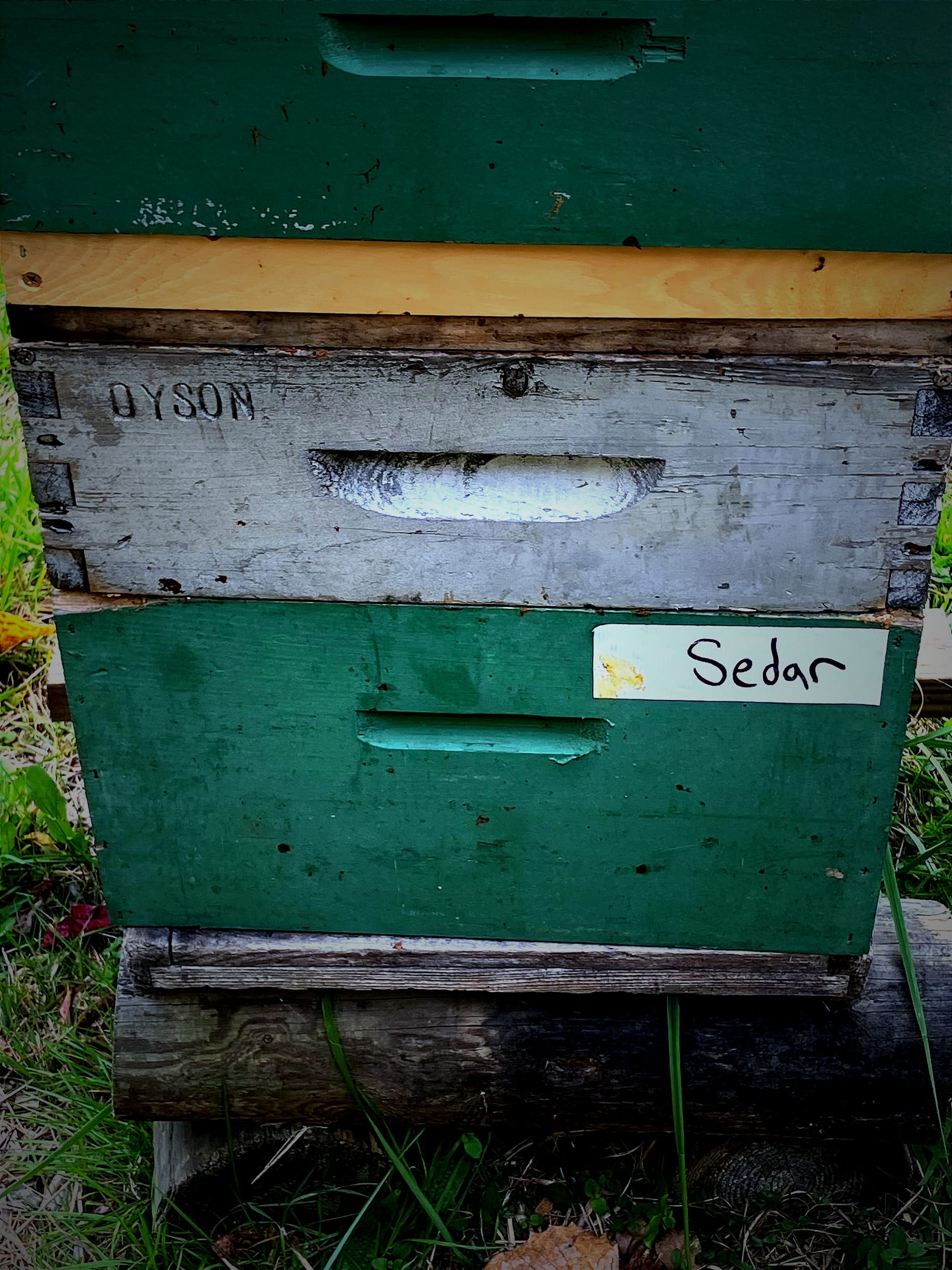 Sedar hive @ Kripalu Yoga Retreat Center Lenox, MA